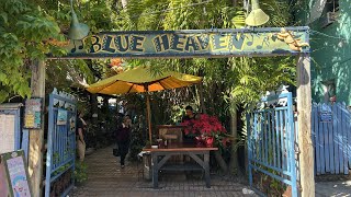 Eating at Blue Heaven Restaurant in Key West Florida  Best Tomato Ever amp Huge Key Lime Pie [upl. by Rosie]