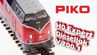 PIKO V024 H0 Expert Diesellok V 2001  Modellvorstellung [upl. by Aerdnaek67]