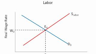 Supply and Demand for Labor [upl. by Ahsrav]