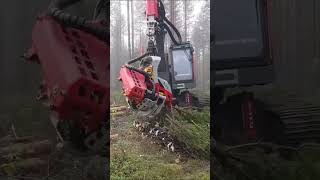 Amazing logging machineadamrose construction smart funny workers [upl. by Noel]