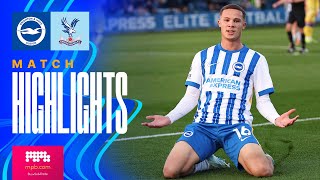 100   HIGHLIGHTS  Brighton v Crystal Palace  Premier League 2 [upl. by Oloapnaig]