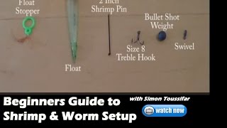 Beginners Guide to Worm and shrimp fishing for salmon Tackle setup and bait [upl. by Tonl517]