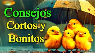 CONSEJOS para la Vida Cortos reflexión motivación reflexiones frases mensaje [upl. by Rockwell695]