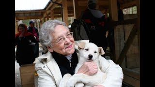 Sled Dog Discovery and Mushers Camp  Juneau Alaska [upl. by Ahsiaa]