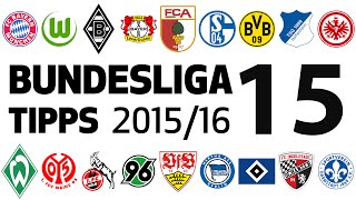 Bundesligatipps 15Spieltag 20152016 [upl. by Bailey]