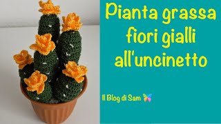 Spiegazione della pianta grassa alluncinetto con i Fiori gialli [upl. by Ahsiaa]