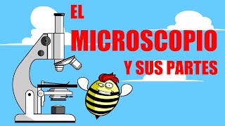 🔬El MICROSCOPIO 🔬 SUS PARTES Y FUNCIONES 🔬 [upl. by Wiedmann243]