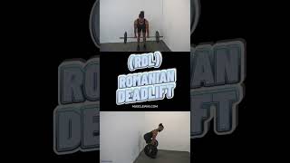 Romanian Deadlift RDL [upl. by Notslah]