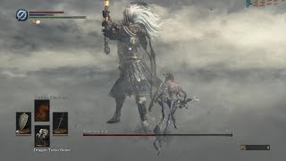 Easy Kill Nameless King With Anris Straight Sword  Dark Soul 3 [upl. by Avilla]