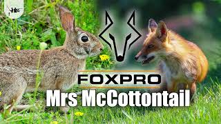 Cottontail Distress Predator Call FOXPRO  Mrs McCottontail [upl. by Casar]