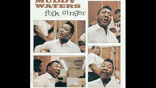 Muddy Waters 👉🏽 Folk Singer 1964 [upl. by Walcott260]