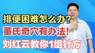 排便困难怎么办？董氏奇穴有办法！刘红云教你1组针方 [upl. by Nilats502]