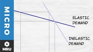 Elasticity of Demand [upl. by Rodman]