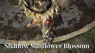 Shadow Sunflower Blossom PvP Showcase  Elden Ring Shadow of the Erdtree Builds [upl. by Hance]