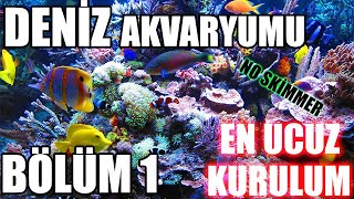 EN BASİT EN UCUZ DENİZ AKVARYUMU KURULUMU Bölüm 1 [upl. by Latimer]