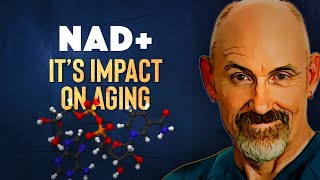 NAD How To Raise NAD Levels 2024 [upl. by Sterne]