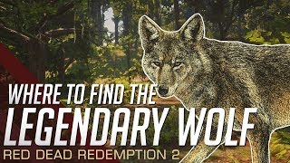 Red Dead Redemption 2  Where To Find The Legendary Wolf [upl. by Acila]