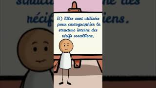 Question en biologie 📢  Ondes sismiques shorts video reels palestine viralvideo biologie [upl. by Ahern]