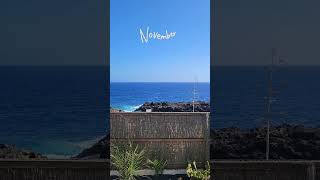 lanzarote canaryislands canarias travel spain islascanarias beach holiday nature november [upl. by Haletta223]