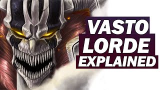 Ichigo’s Vasto Lorde Form EXPLAINED  Why Ichigo Transformed BLEACH Breakdown [upl. by Efron]