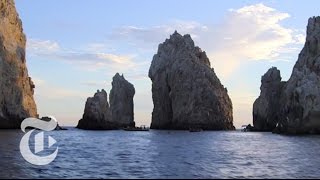 What to Do in Los Cabos Mexico  36 Hours Travel Videos  The New York Times [upl. by Ettelra]