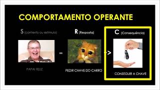 Diferença entre Comportamento Operante e Respondente [upl. by Judus]