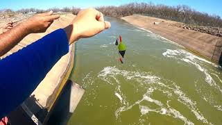 Waco Dam Spillway  Crappie fishing and White bass whitebass fishing cauca câucá fish fishing [upl. by Mackey]