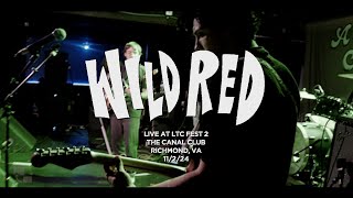 Wild Red Live at LTC Fest 2 11224 [upl. by Avehsile248]