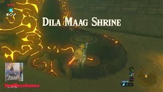 Dila Maag Shrine Walkthrough  The Legend of Zelda Breath of the Wild [upl. by Malynda]