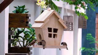 Build Easy wooden Bird House and Bird Feeder For Your Backyard [upl. by Etnod234]