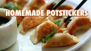 Potstickers Made From Scratch Pan Fried Dumplings [upl. by Gunter]