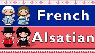 FRANCE FRENCH amp ALSATIAN [upl. by Sivel106]