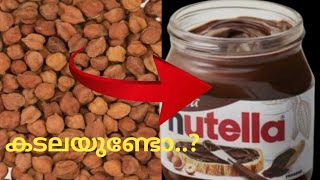 Homemade Nutella l Nocilla Recipe for Kids l How to make Nutella lHazelnut Recipe lLizamma foodamptips [upl. by Perri]