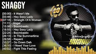 Shaggy Greatest Hits  Best Songs Of 80s 90s Old Music Hits Collection [upl. by Yelnik]