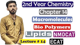 2nd Year Chemistry Chapter 14 Macromolecules Lipids Characteristics of Lipids Lec14 [upl. by Aivan]