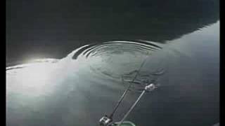 Walleye fishing southern style trolling deep in summer [upl. by Eussoj]