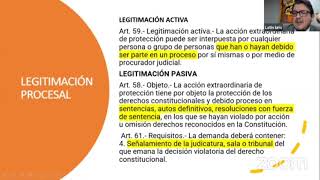 Legitimación y sentencias impugnables vía Acción Extraordinaria de Protección [upl. by Atterual]