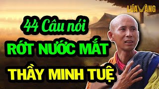 Tiết Lộ 44 Câu Nói Của Sư Minh Tuệ Đáng Để Chiêm Nghiệm Cả Đời Ai Nghe Cũng Thấy Xúc Động Vô Cùng [upl. by Pavier]