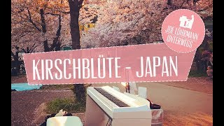 My Traveling Piano in Japan zur Kirschblüte  Follow The Sun Joe Löhrmann [upl. by Asseram12]