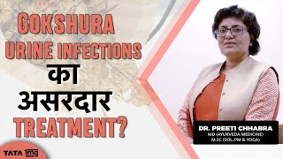 Health benefits of Gokshura  Dr Preeti Chhabra [upl. by Yllier]