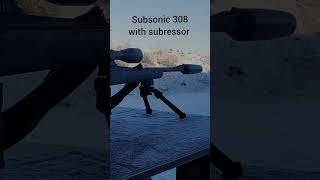 Supersonic 308 vs subsonic [upl. by Everara]