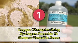 Oxygen Therapies using Hydrogen Peroxide To Remove Parasitic Feces Part 1  Dr Robert Cassar [upl. by Annaiviv867]