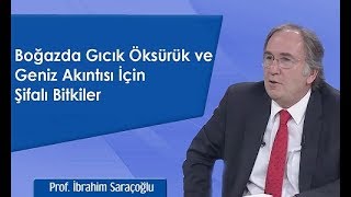 Boğazda Gıcık Öksürük ve Geniz Akıntısı İçin Şifalı Bitkiler  İbrahim Saraçoğlu [upl. by Marolda]