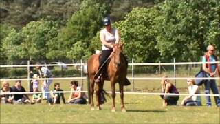 Demonstration Tennessee Walking Horse [upl. by Serdna45]