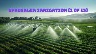 Super Simple Sprinkler Irrigation System Installation complete process step by step Drip Irrigation [upl. by Yand]