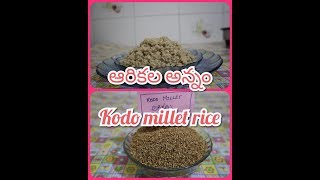 ఆరికల అన్నం Kodo millet Rice in telugu with English subtitles  Health benifits of kodo millet [upl. by Panayiotis792]