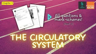 QUESTIONS A ANSWERS amp MARK SCHEMES  Circulatory System Ch 3  IGCSE PE exam revision [upl. by Grunenwald]