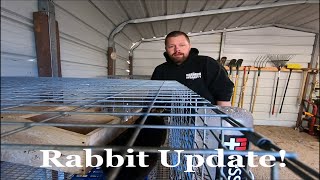 Standard Rex Rabbit update [upl. by Valoniah176]