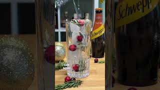 Festive Gin amp Ginger Beer Recipe [upl. by Neumark]