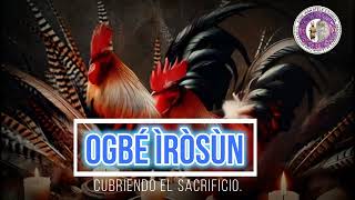 SUENAN PARECIDOS  ECHAR PLUMAS OGBÉ ÌRÒSÙN PEDIR BENDICIONES ÒSÁ ODÍ [upl. by Idnim]